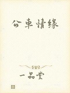 公车情缘