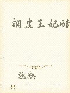 调皮王妃酷王爷封面