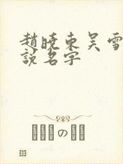 赵晓东吴雪晴小说名字