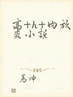 高+h+肉放荡爽小说