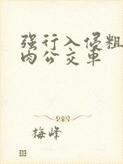 强行入侵粗暴h肉公交车