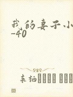 我的妻子小谨1-40