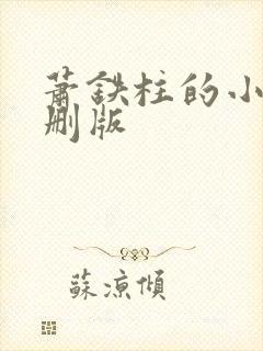 萧铁柱的小说未删版