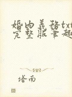 婚内义务txt完整版笔趣阁