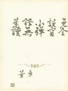 叶锋小说免费阅读无弹窗全文封面