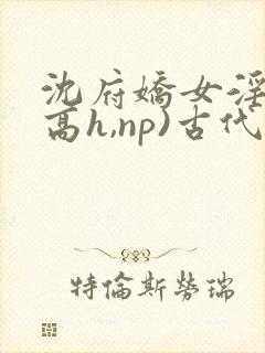 沈府娇女淫史(高h,np)古代封面