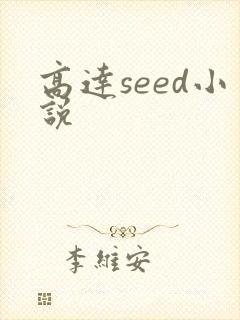 高达seed小说