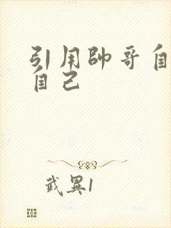 引用帅哥自己玩自己封面