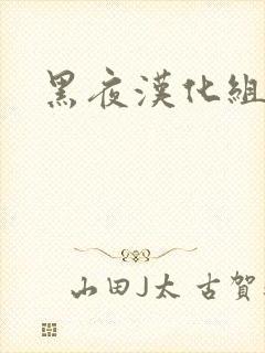 黑夜汉化组