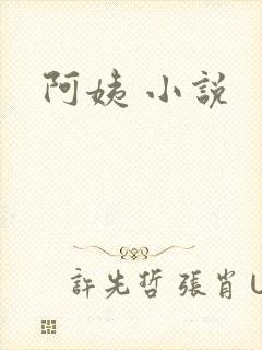 阿姨 小说