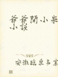 爷爷开小米的包小说