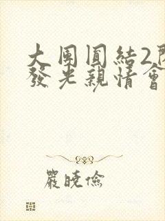 大团圆结2闪闪发光亲情会