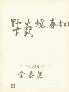 野火烧春txt下载