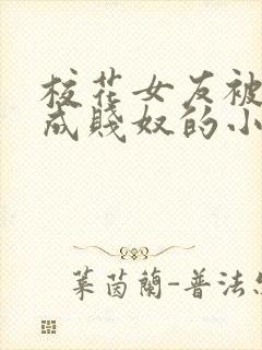 校花女友被调教成贱奴的小说