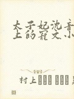 太子妃沈音和皇上的宠文小说