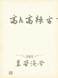 高h高辣古言