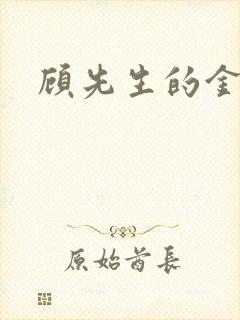 顾先生的金丝雀封面