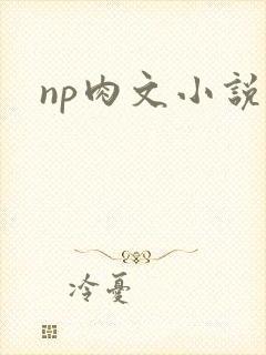 np肉文小说
