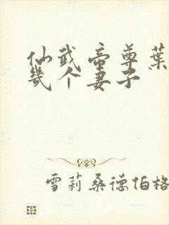 仙武帝尊叶辰有几个妻子