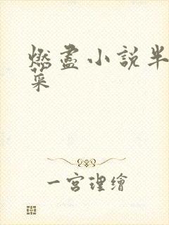 燃尽小说半截白菜