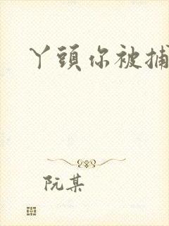 丫头你被捕了封面