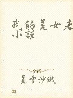 我的美女老板 小说