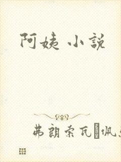 阿姨 小说
