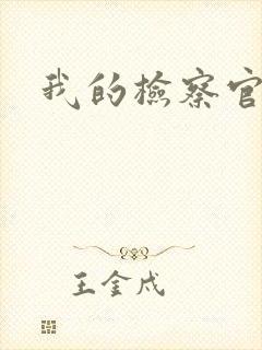 我的检察官先生封面