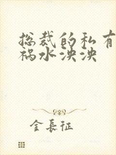 总裁的私有宝贝祸水泱泱