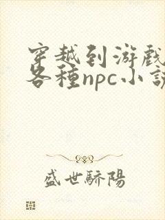 穿越到游戏里和各种npc小说