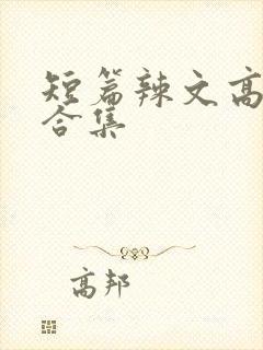 短篇辣文高h文合集封面