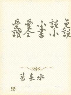 爱爱小说免费阅读全书小说乡村