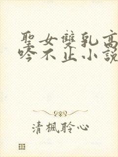 圣女双乳高耸呻吟不止小说封面