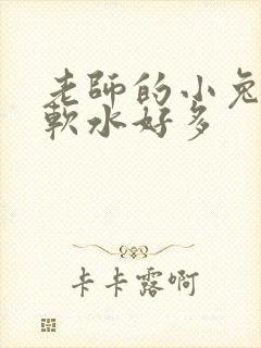 老师的小兔子好软水好多