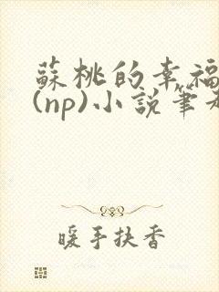 苏桃的幸福生活(np)小说笔趣阁沐沐