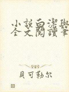 小说白洁与高义全文阅读笔趣阁白洁