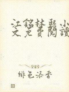 江铭林熙小说全文免费阅读封面