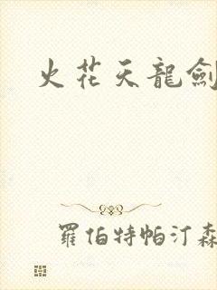 火花天龙剑