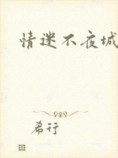 情迷不夜城