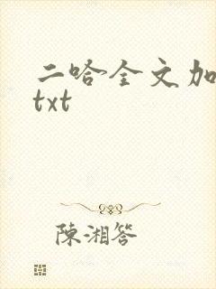 二哈全文加番外txt