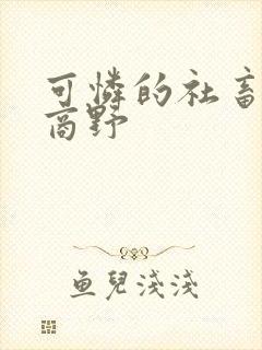 可怜的社畜周颂商野