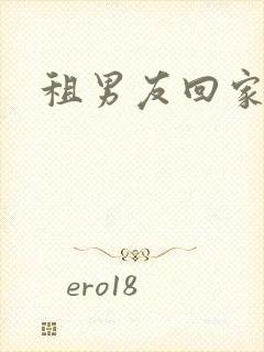 租男友回家过年