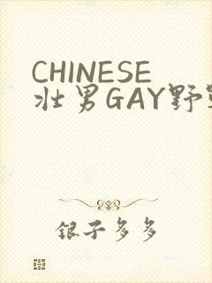 CHINESE壮男GAY野战强迫TUBE