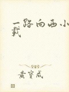 一路向西小说下载