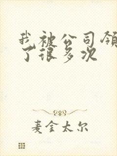 我被公司领导C了很多次