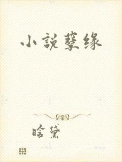 小说孽缘