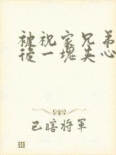 被祝家兄弟共享后一块夹心饼封面