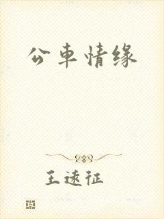 公车情缘