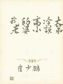 我的高冷大小姐老婆小说第一部封面