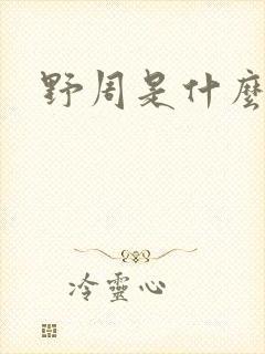 野周是什么意思